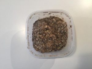 Surdej til rugbrød