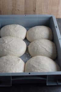 Langtidshævet pizzadej