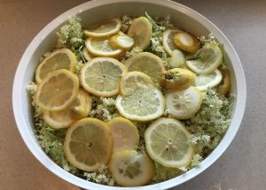 Hjemmelavet hyldeblomstsaft