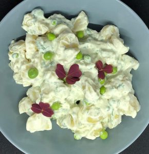Kold kartoffelsalat med persille og purløg