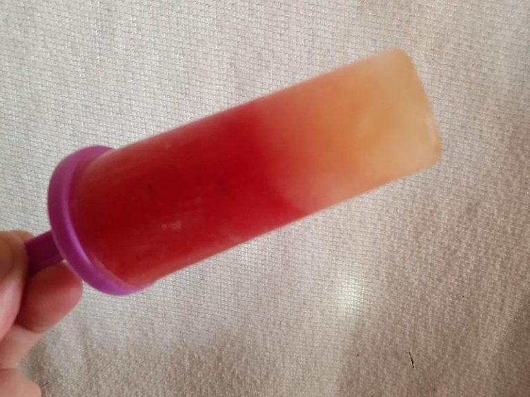 Filur-is? | opskrifter | GastroFun.dk