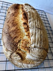 Brød med surdej