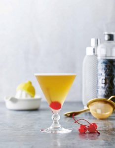 Gin Sour