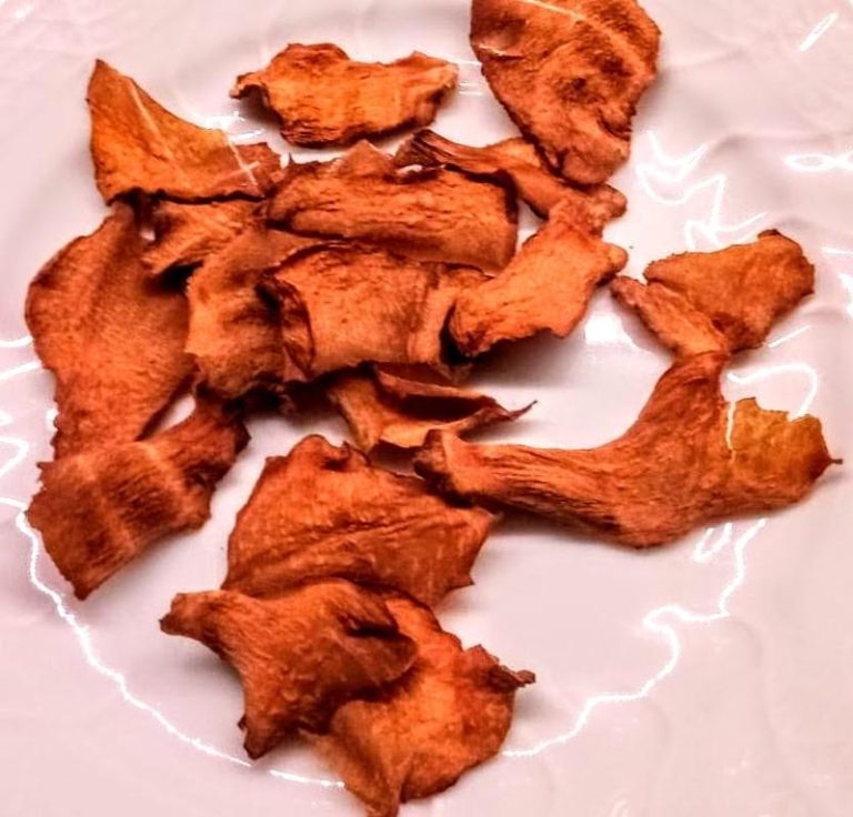 Sweet potato chips (dehydrator) opskrifter GastroFun.dk