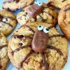 Halloween Cookies