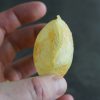 Pommes Souffle