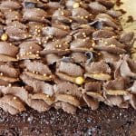 Kakaokage med pisket chokoladeganache