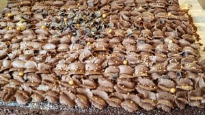 Kakaokage med tykmælk – nem og lækker