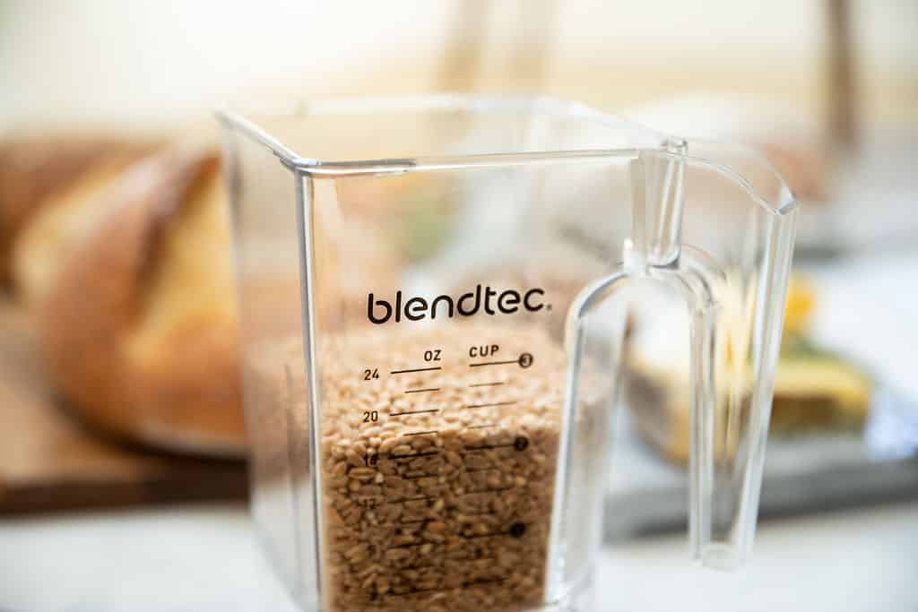 Blendtec Wildside+ jar