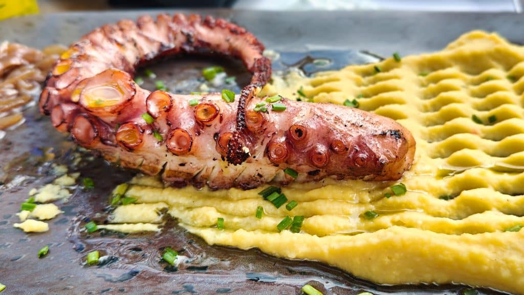 Blæksprutte og fava