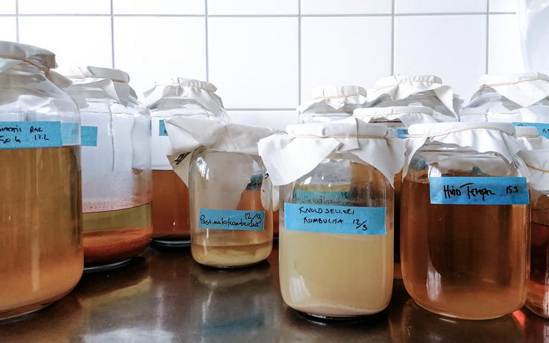 Kombucha