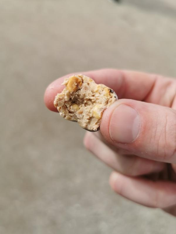 ​​Food Festival 2019